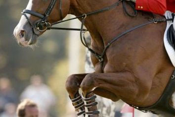 For Pleasure For Pleasure