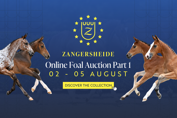 Zangersheide Foal Auction 2025 - part I Zangersheide Foal Auction 2025 - part I