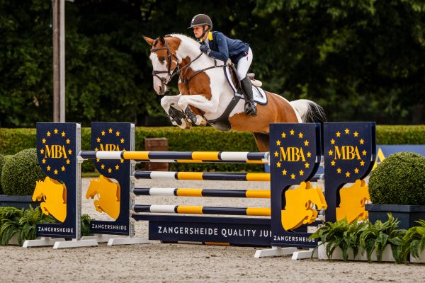Amy du Chateau Z
