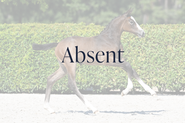 VEULEN_DRAF_nr_1-absent