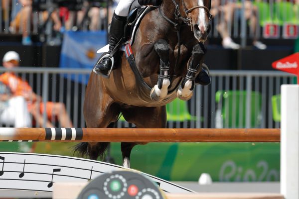 Ornellaia & John Whitake