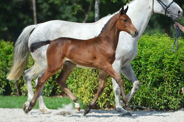 20200718-ga79757-1 20200718-ga79757-1