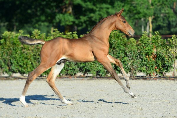 20200808-ga72341-1 20200808-ga72341-1