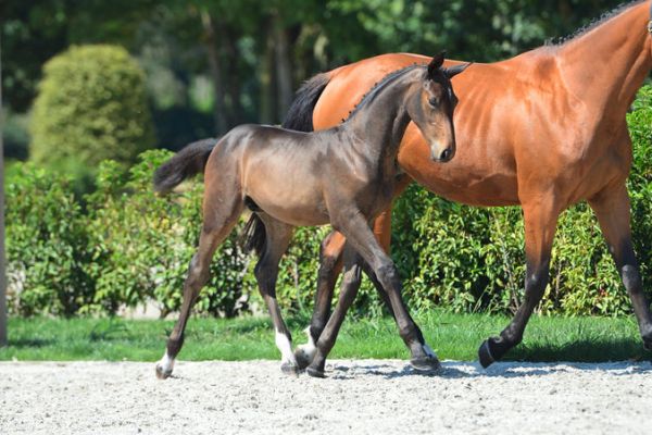 20200808-ga73598-1 20200808-ga73598-1