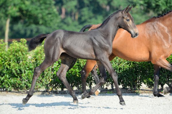 20200718-ga78455-1 20200718-ga78455-1