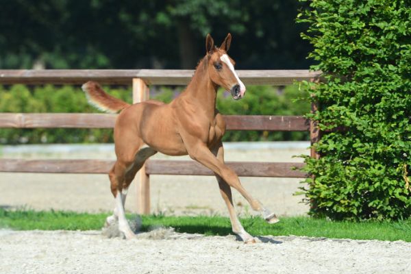 20200718-ga78978-1 20200718-ga78978-1