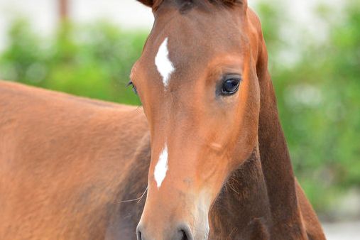 20200725-ga77199-1 20200725-ga77199-1