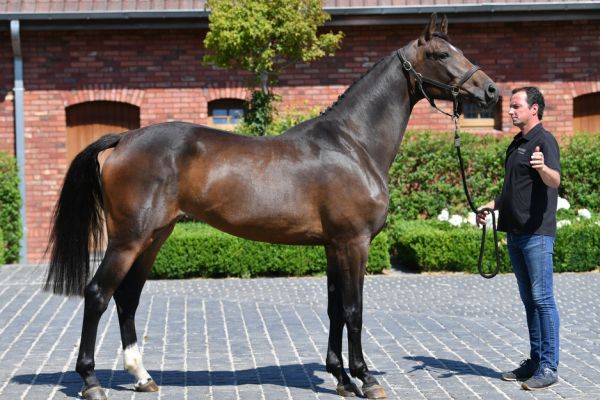 20200624-ga67512-carletha-6 20200624-ga67512-carletha-6