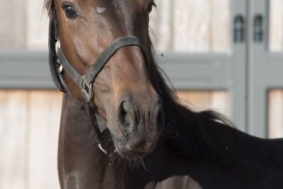 20170615-b-27897-13-11-14 20170615-b-27897-13-11-14