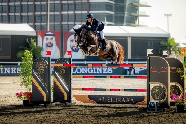 Chat Botte Chat Botte du Ruisseau Z Chat Botte Chat Botte du Ruisseau Z