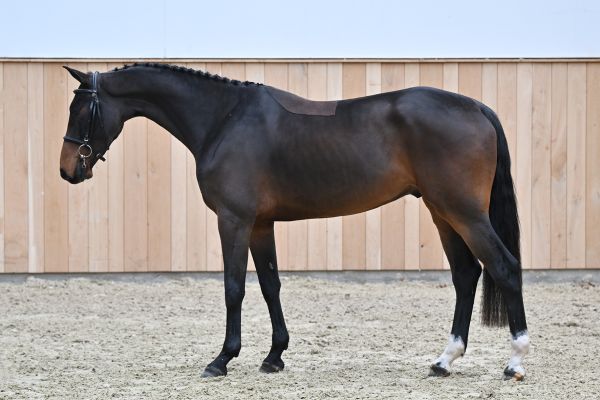 Undercover van de La Rosteehoeve Undercover van de La Rosteehoeve