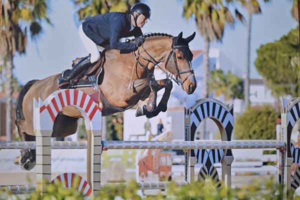 Arrive Z - Bart Clarys - ©Lies Vancouillie Arrive Z - Bart Clarys - ©Lies Vancouillie