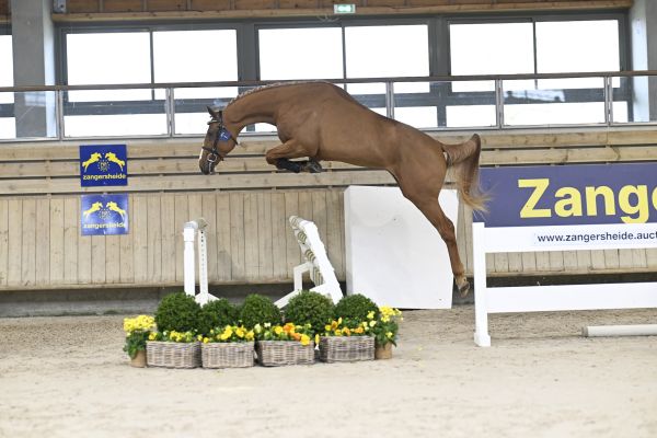 429757912_796990842459393_5152930869077098901_n 429757912_796990842459393_5152930869077098901_n