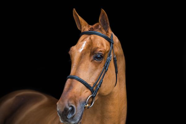 Epleaser Van 't Heike Z