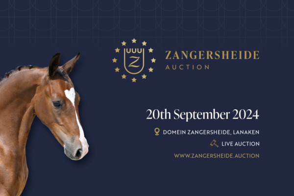 banner auction 20 banner auction 20