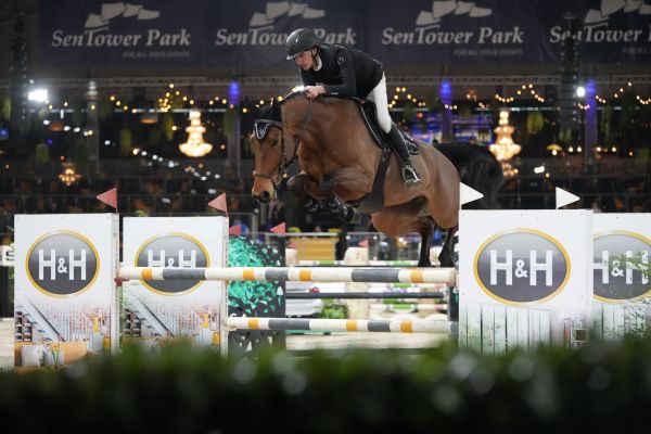 Chica Bomb van Plockroy Z - Michaël Vreys - ©Sportfot Chica Bomb van Plockroy Z - Michaël Vreys - ©Sportfot