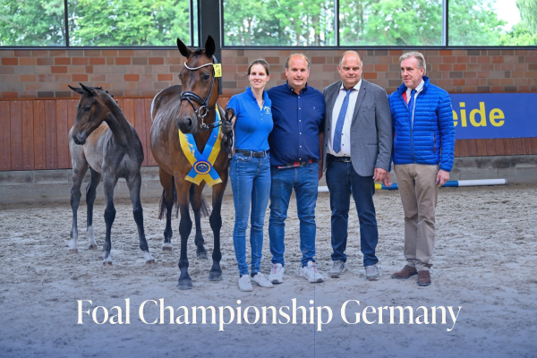 foal germany