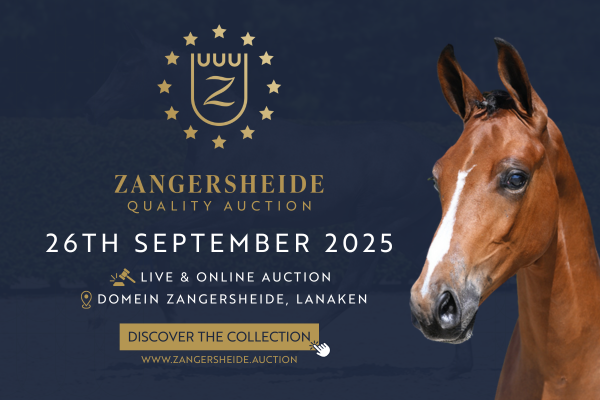 Website Quality Auction 1 Website Quality Auction 1