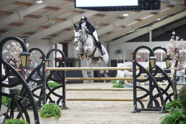 Airco de L Esprit Z - Marcus Westergren - ©Sportfot