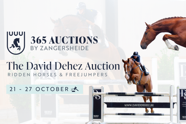 The David Dehez Auction - 365 Auctions