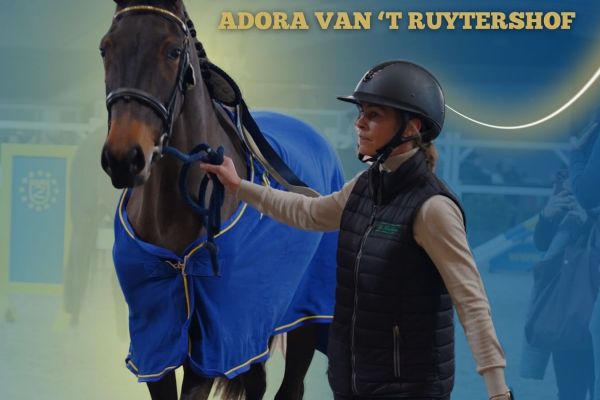 Winnaar vrijspringen 2-jarigen