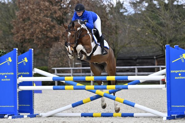 MARIANO SITTE MARIANO SITTE