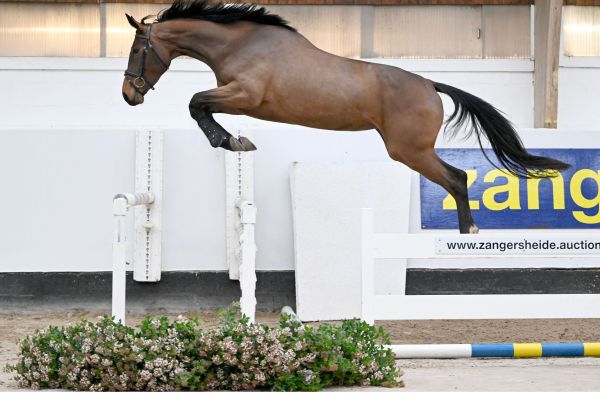 ASATIR VAN PERZI Z 1 ASATIR VAN PERZI Z 1