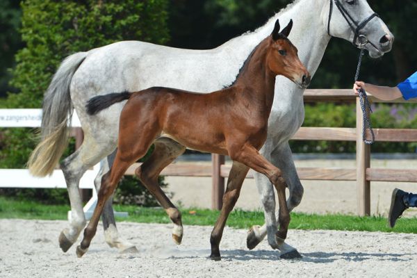 20200718-ga79753-1 20200718-ga79753-1