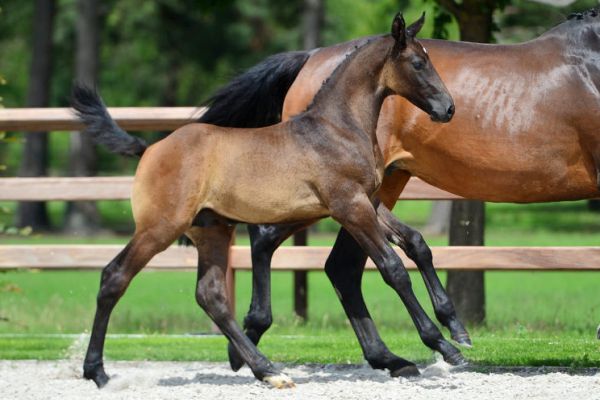 20200620-ga70365-1 20200620-ga70365-1