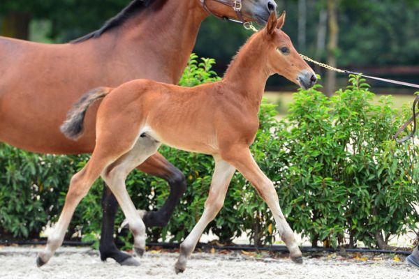 20200725-ga77548-1 20200725-ga77548-1