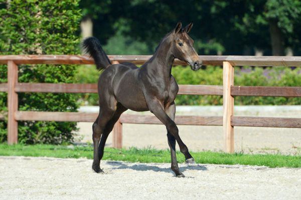 20200718-ga78481-1 20200718-ga78481-1