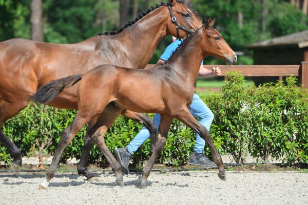 10-20200613-ga76293-1 10-20200613-ga76293-1