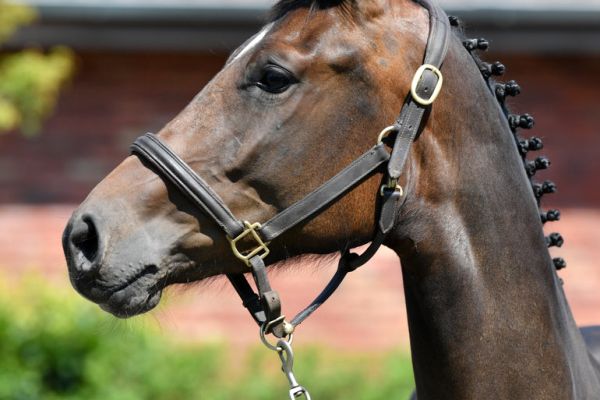 20200624-ga67544-carletha-1 20200624-ga67544-carletha-1