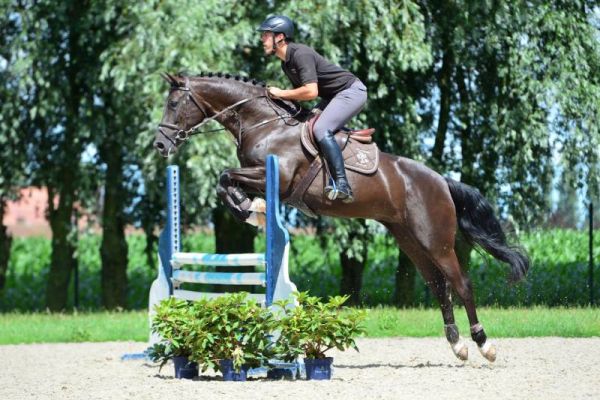 hopes-are-high-111-32 hopes-are-high-111-32