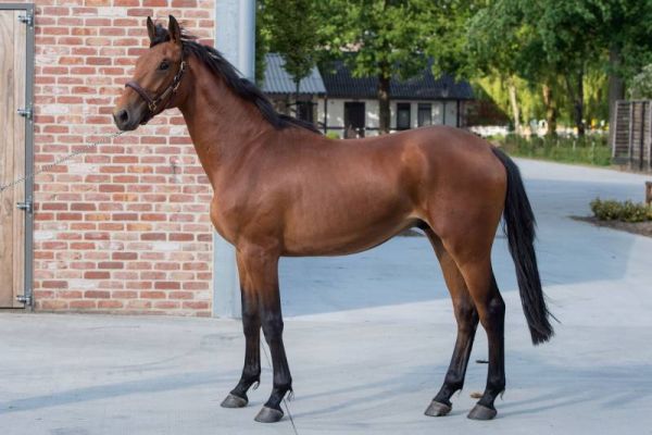 20170615-b-27766-12-55-44 20170615-b-27766-12-55-44