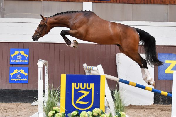 diablo-hr-large diablo-hr-large