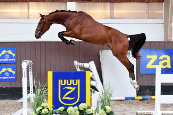 20200710-ga60401-zenith 20200710-ga60401-zenith