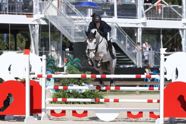 Chaccland (Chacco Blue x Carthago Z) - Ansgar Holtgers ©sportfot Chaccland (Chacco Blue x Carthago Z) - Ansgar Holtgers ©sportfot