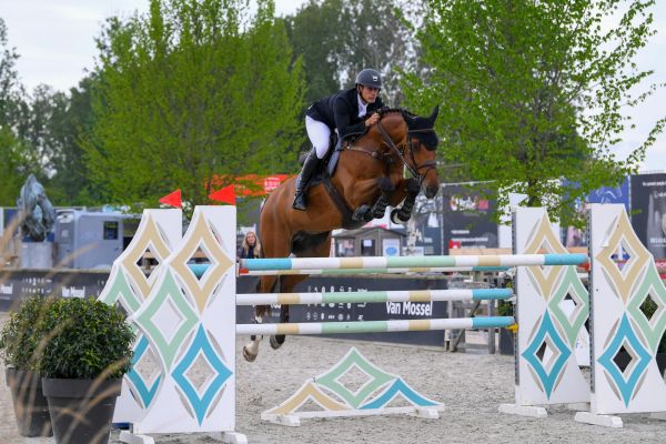 Aquiles Del Caribe Z Aquiles Del Caribe Z