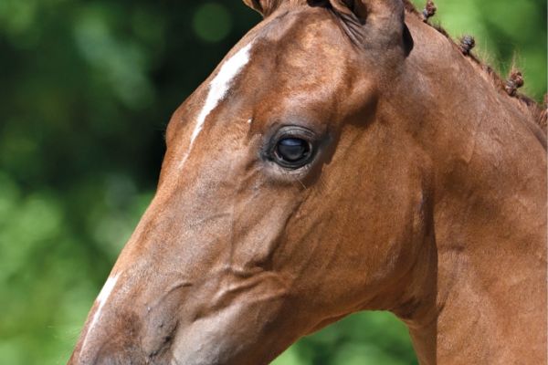 61 Country Roads O GMS Z 61 Country Roads O GMS Z