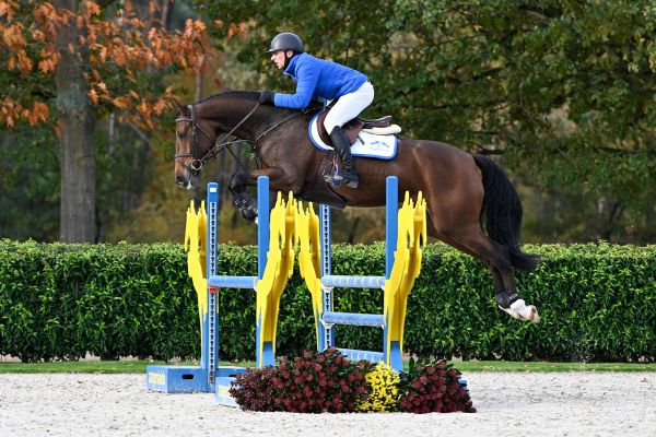 Quickstep Z   Quickstep Z
