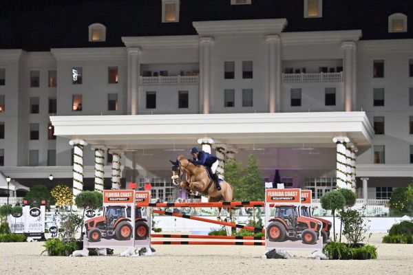 Scoop de Septon Z - Luis Sabino Gonçalves - ©Ocala (1) Scoop de Septon Z - Luis Sabino Gonçalves - ©Ocala (1)