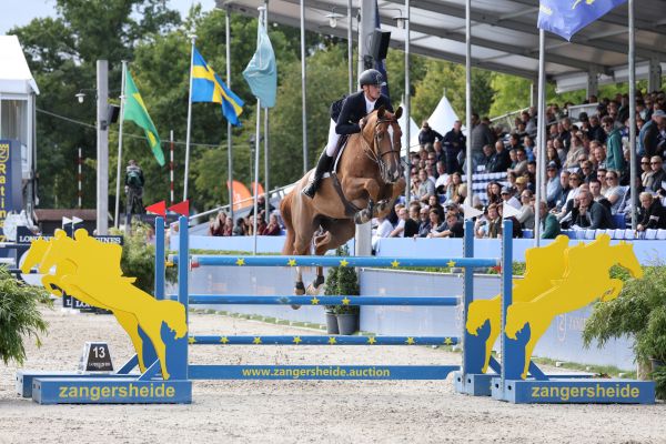 Niels Bruynseels Quattro De Kalvarie