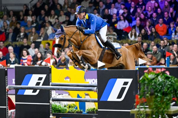 Mandato van de Neerheide - Christian Ahlmann - ©Paardenfotograaf