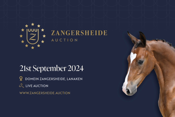 banner auction 21 banner auction 21