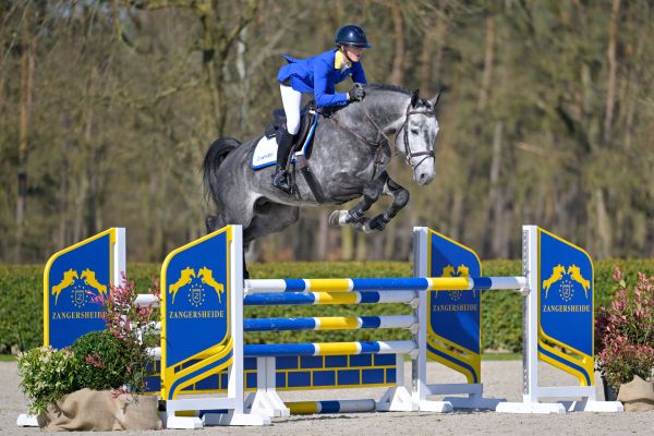 Codex Son Z Codex Son Z