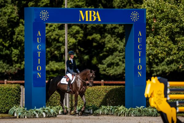 Biarritz Z Biarritz Z