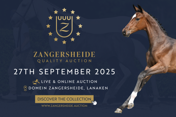 Website Quality Auction 2 Website Quality Auction 2