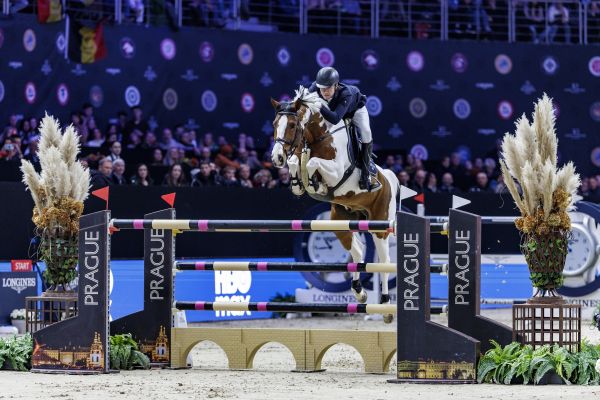 Ping Pong van de Lentamel - Gerrit Nieberg - @Stefan Lafrentz