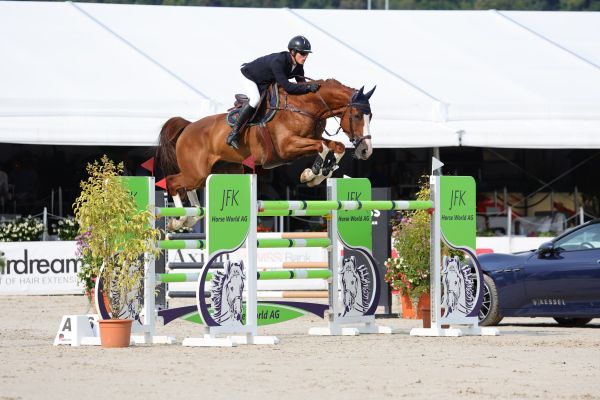 Verdi Van &rsquo;t Laerhof Z - Bryan Smits - &copy;Sportfot